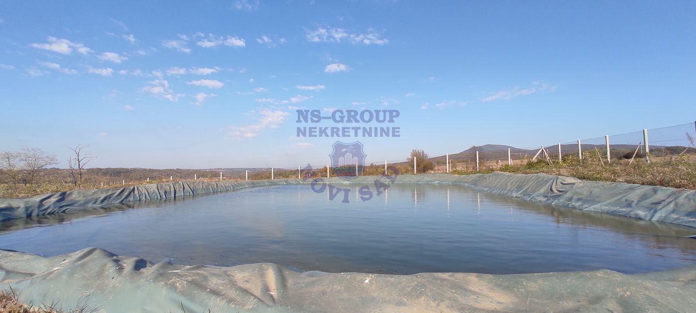 property-card-img-97647