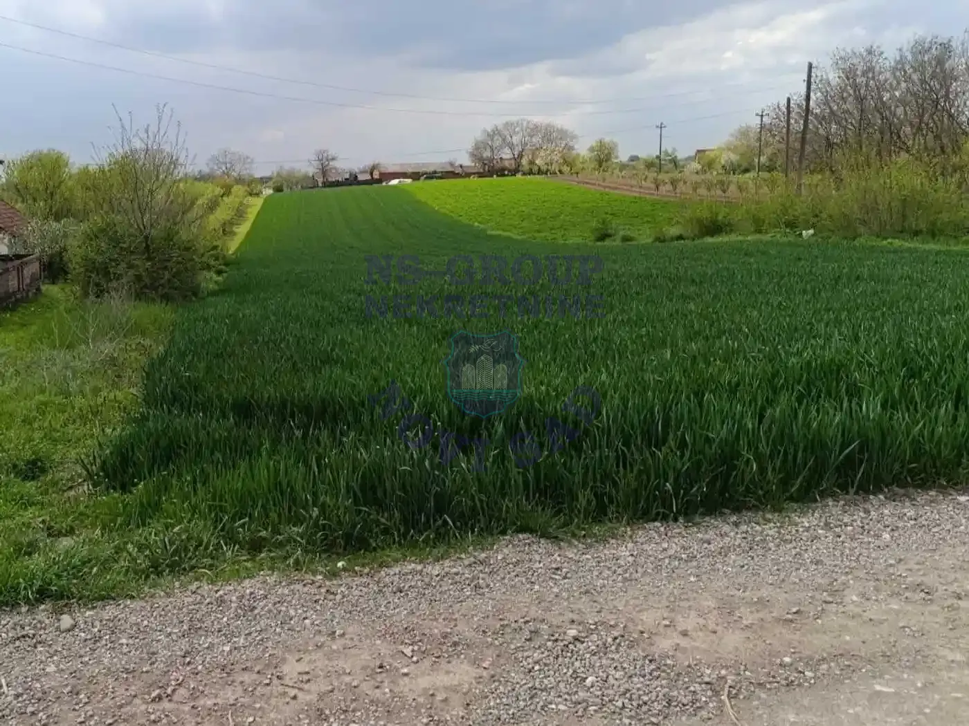 property-card-img-97723