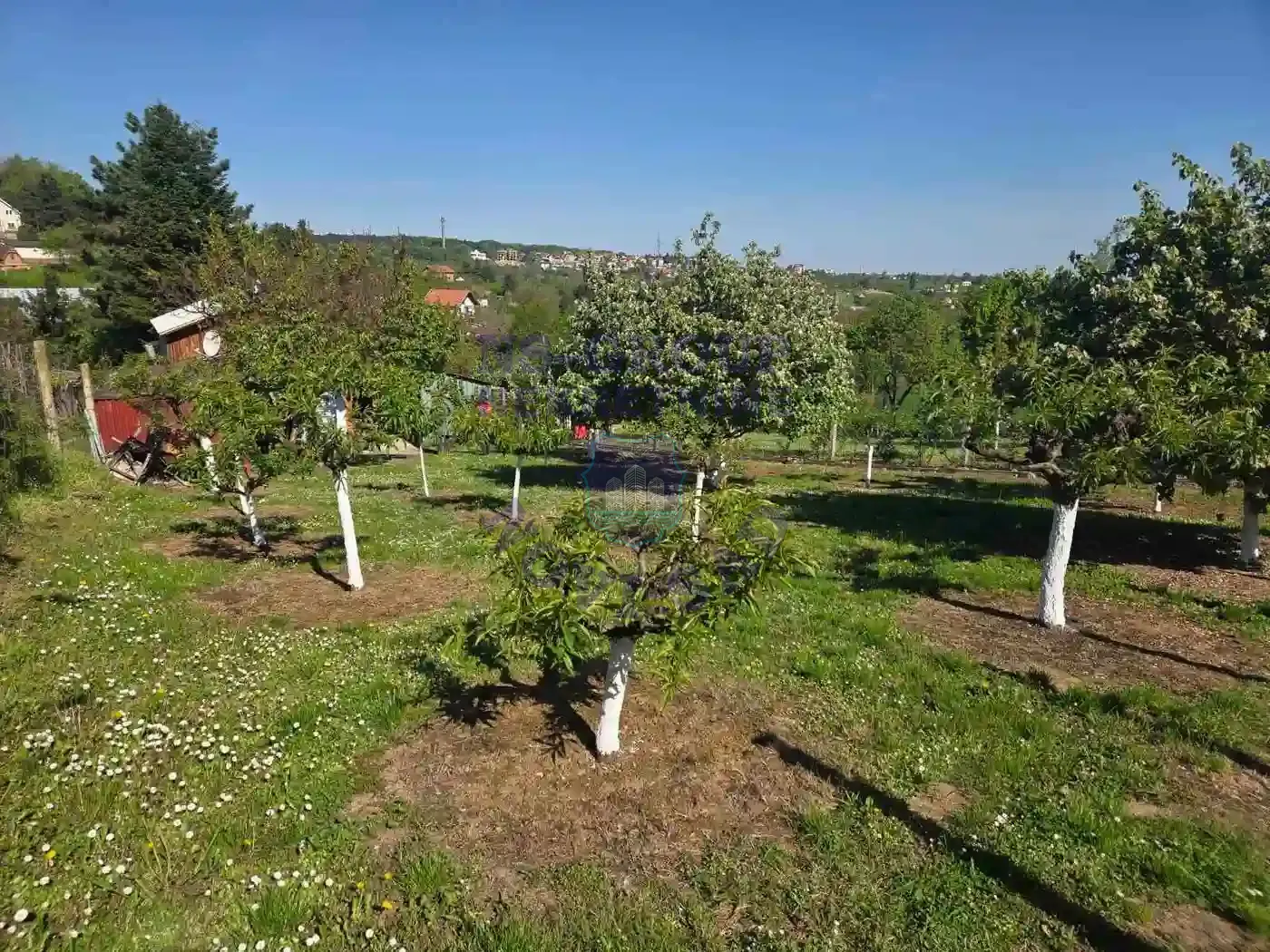 kuca na prodaju Petrovaradin 46m2 569115