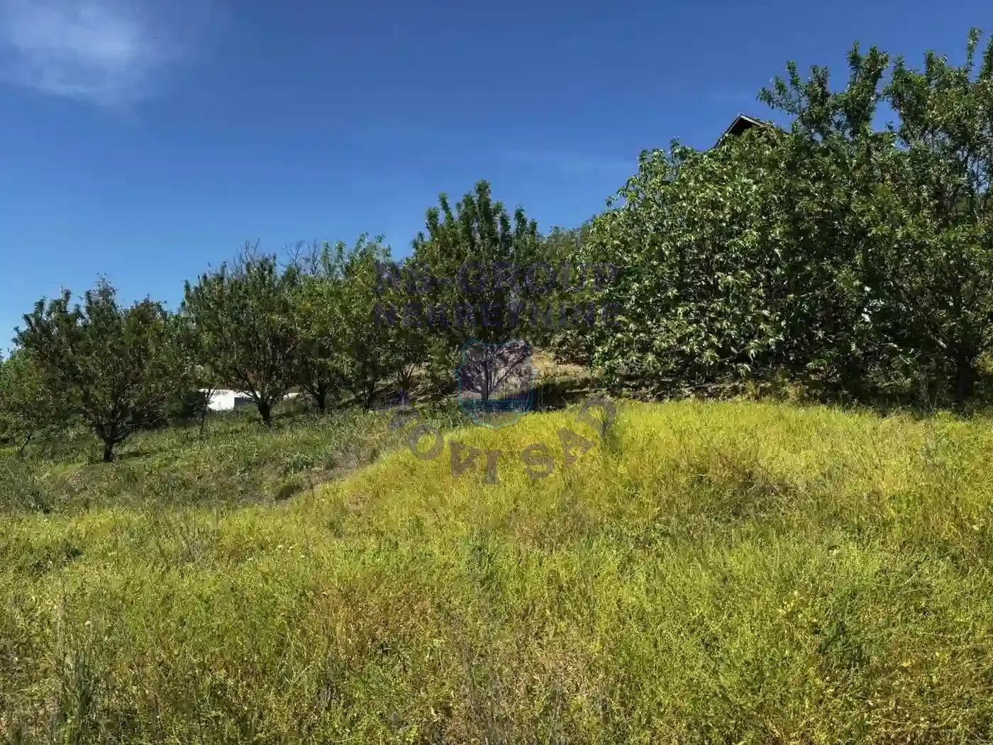 plac na prodaju Sremski Karlovci 12354m2 569144
