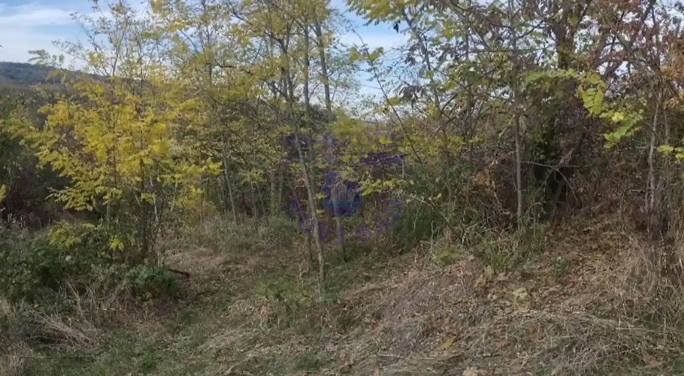 property-card-img-98154