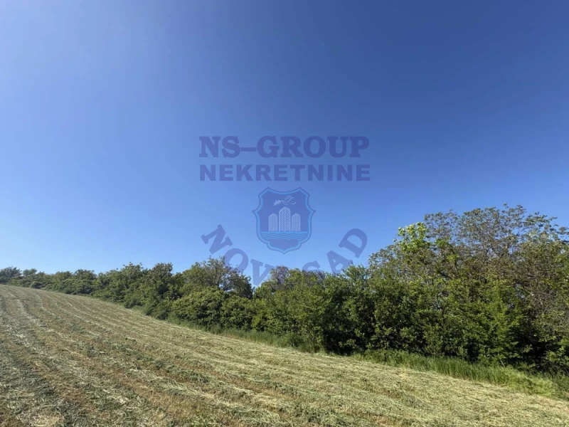 plac na prodaju Petrovaradin 3197m2 534583