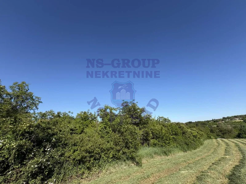 plac na prodaju Petrovaradin 3197m2 534583