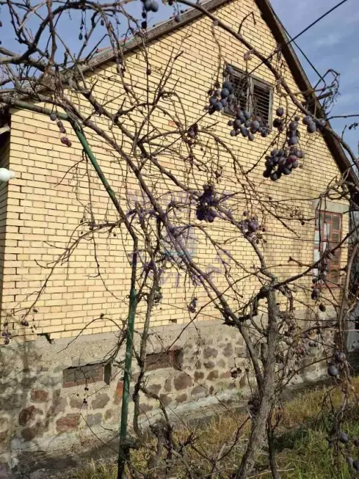 kuca na prodaju Čerević 73m2 569695