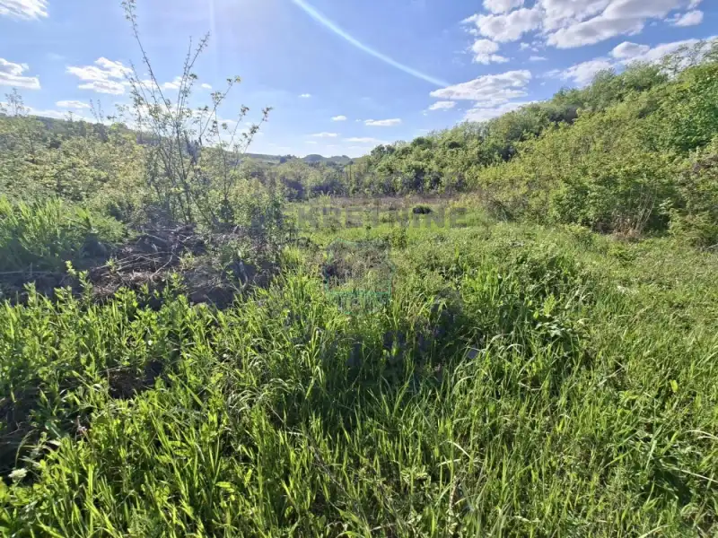 plac na prodaju Rakovac 6348m2 570017