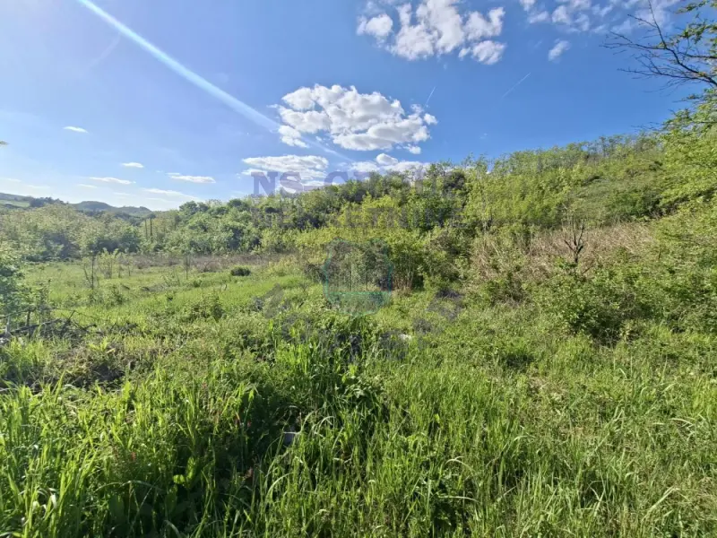 plac na prodaju Rakovac 6348m2 570017
