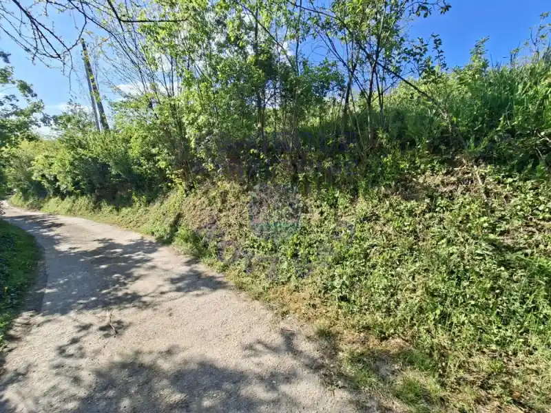 plac na prodaju Rakovac 6348m2 570017