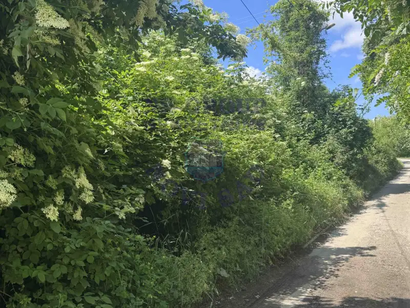 plac na prodaju Ledinci, 417m2 570028