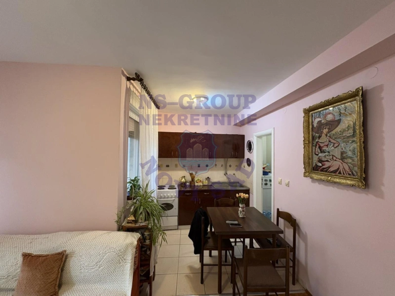 stan na prodaju Novi Sad 30m2 568590