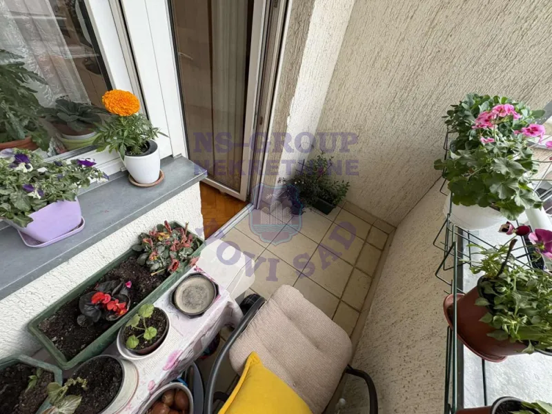 stan na prodaju Novi Sad 30m2 568590