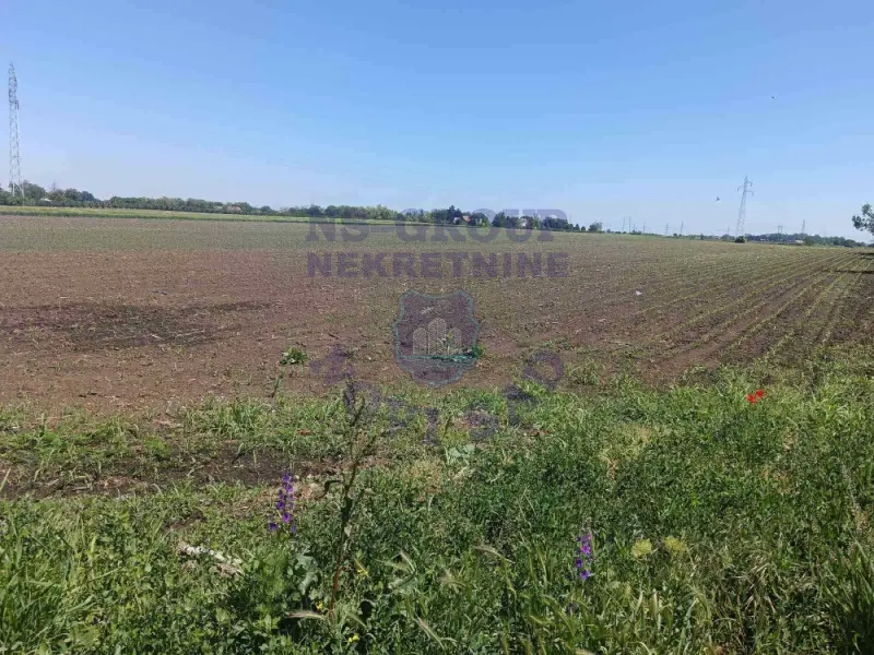 plac na prodaju Čenej 3515m2 570596
