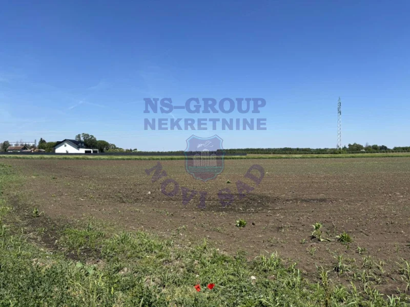 plac na prodaju Čenej 3515m2 570596