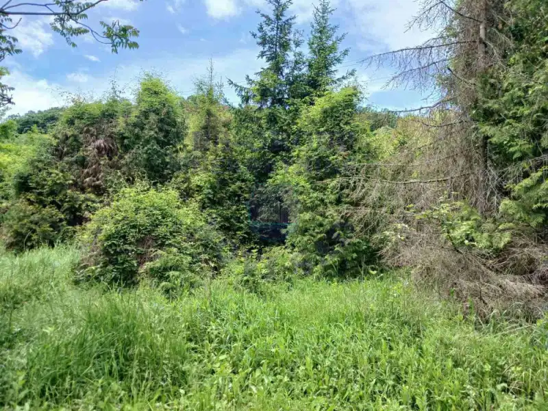 plac na prodaju Ledinci 6316m2 570573