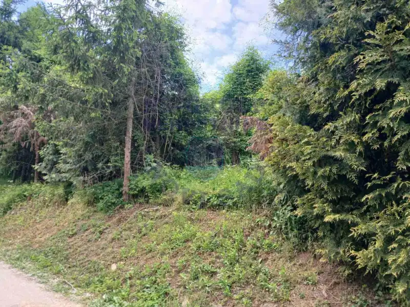 plac na prodaju Ledinci 6316m2 570573