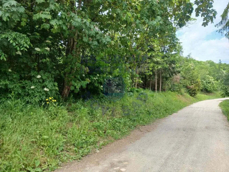 plac na prodaju Ledinci 6316m2 570573