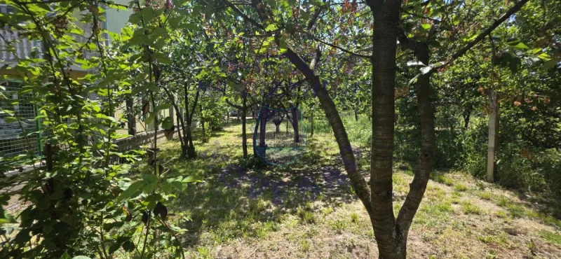 kuca na prodaju Novi Sad 79m2 570672