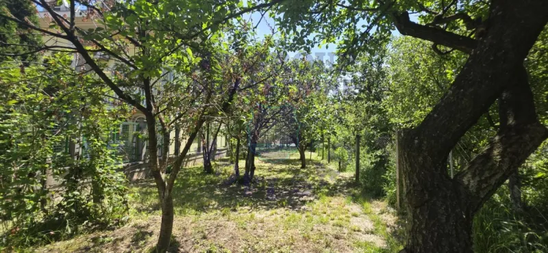 kuca na prodaju Novi Sad 79m2 570672