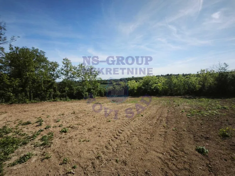 kuca na prodaju Maradik 175m2 570662