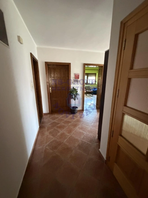 kuca na prodaju Veternik 411m2 570644