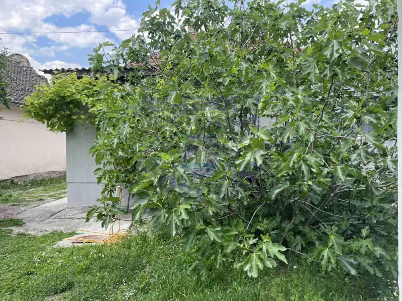 kuca na prodaju Bački Jarak 97m2 570919