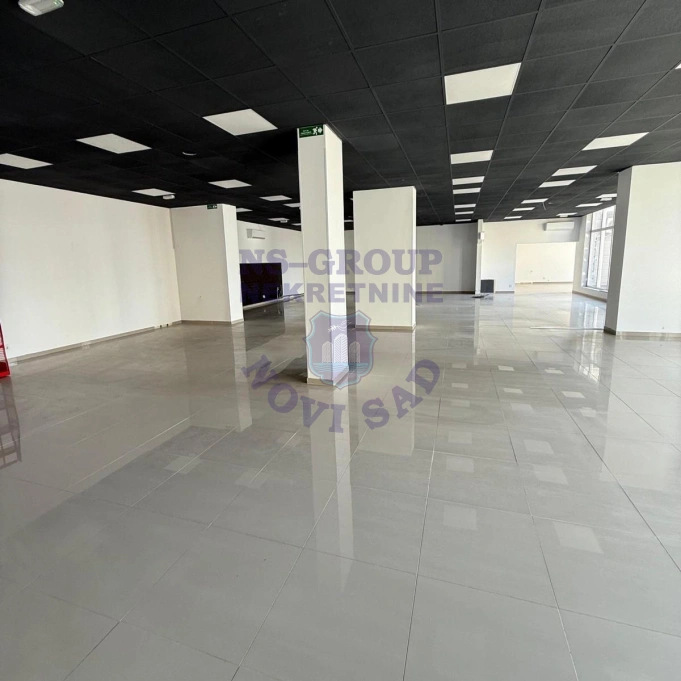 lokal za izdavanje Novi Sad 306m2 16269