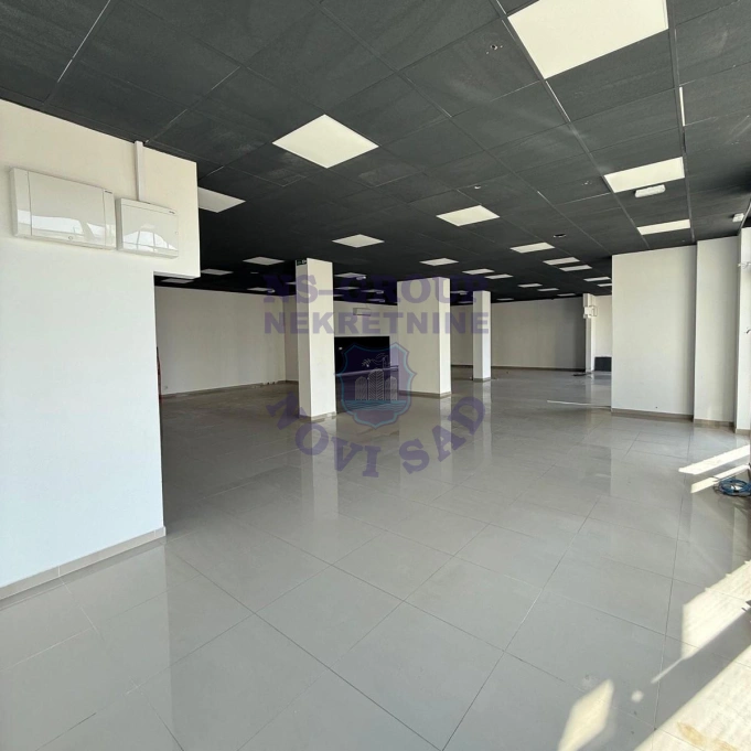 lokal za izdavanje Novi Sad 306m2 16269