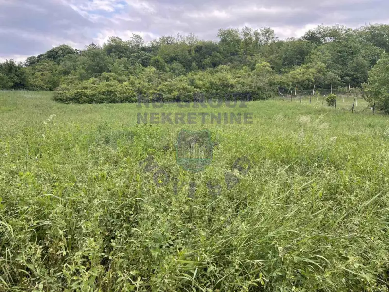 plac na prodaju Čortanovci, 1116m2 571197