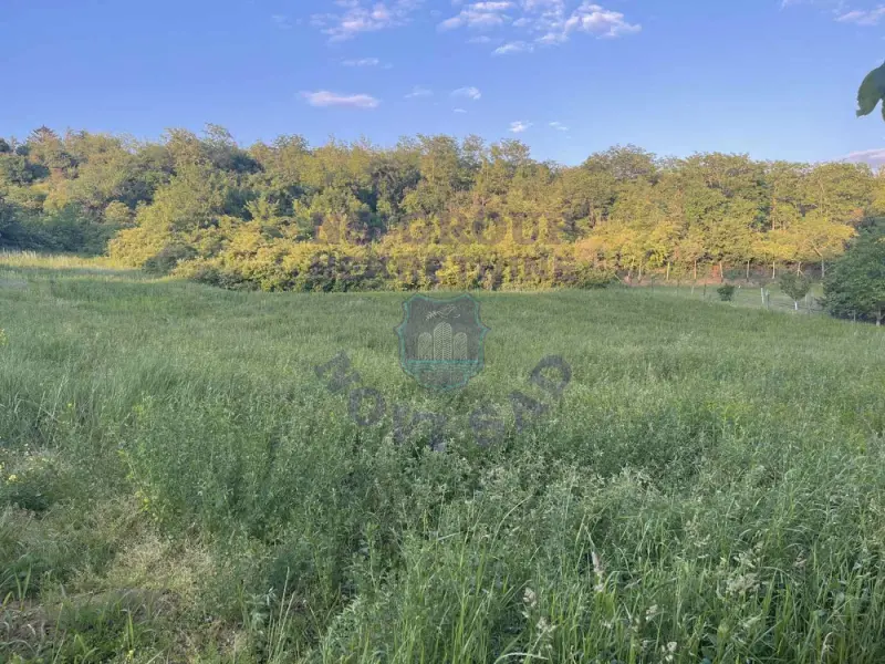plac na prodaju Čortanovci 1116m2 571197