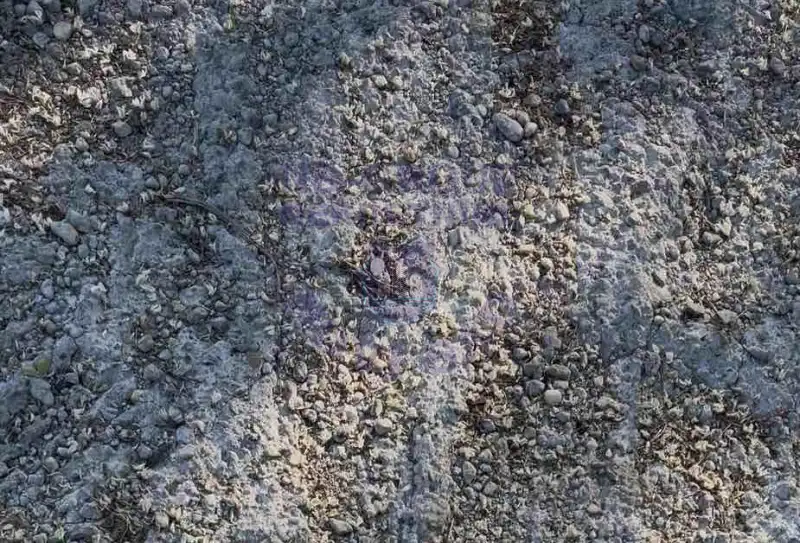 plac na prodaju Čortanovci 1116m2 571197