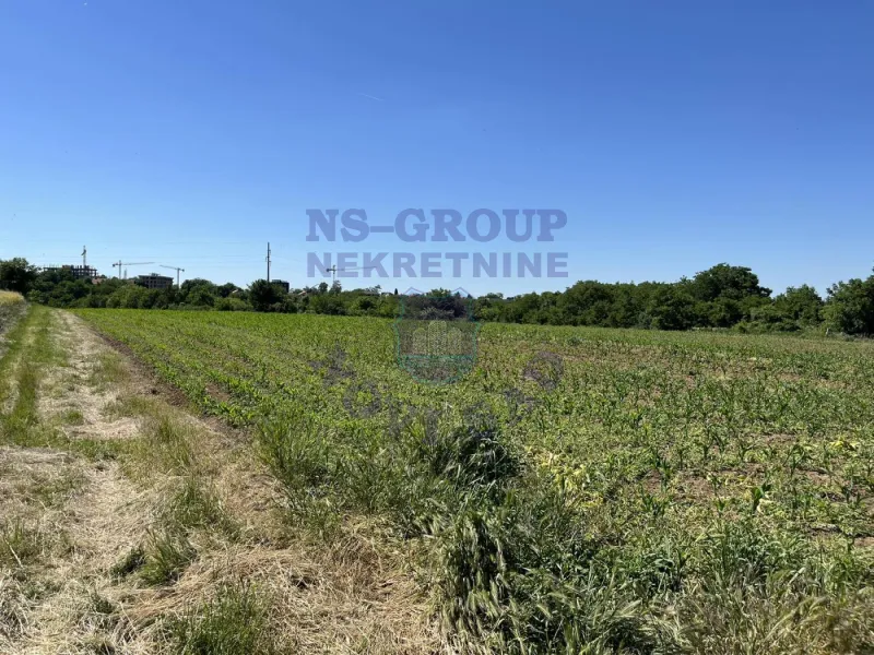 plac na prodaju Petrovaradin 764m2 493764