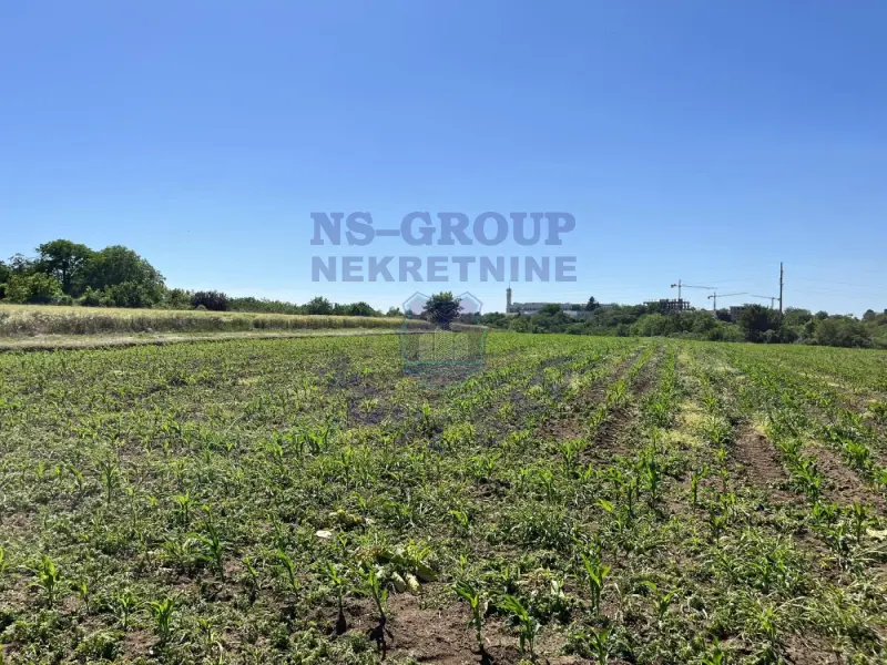 plac na prodaju Petrovaradin 764m2 493764