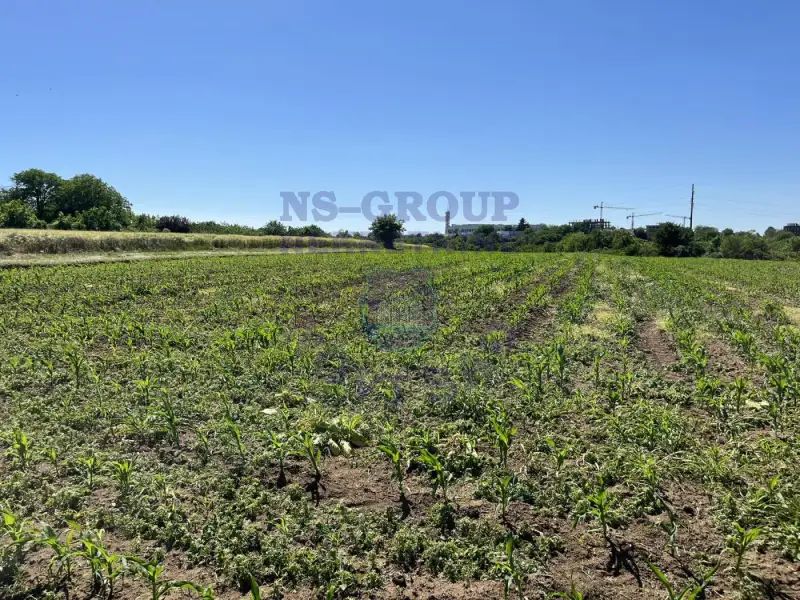 plac na prodaju Petrovaradin 764m2 493764