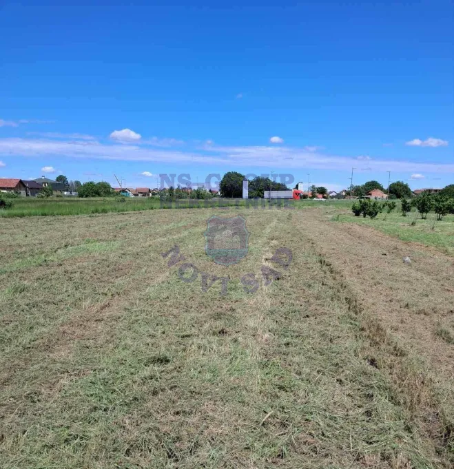 plac na prodaju Novi Sad 5232m2 563204