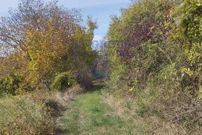 plac na prodaju Beočin 2355m2 569266