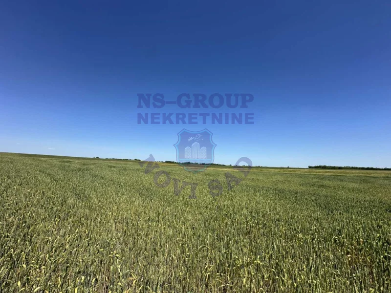 plac na prodaju Žabalj 3313m2 571270