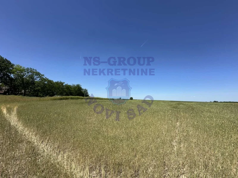 plac na prodaju Žabalj 3313m2 571270