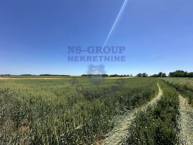 plac na prodaju Žabalj 3313m2 571270