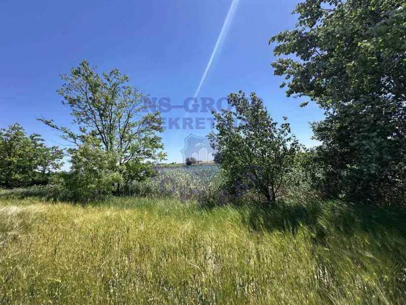 plac na prodaju Žabalj, 3313m2 571270
