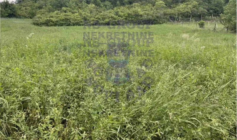 plac na prodaju Čortanovci 3773m2 571652