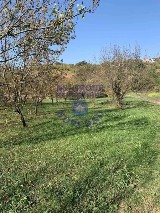 plac na prodaju Sremska Kamenica 5226m2 571703