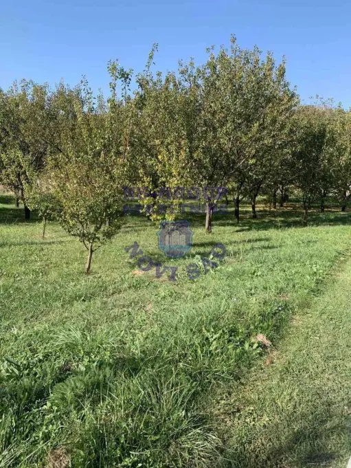 plac na prodaju Sremska Kamenica 5226m2 571703