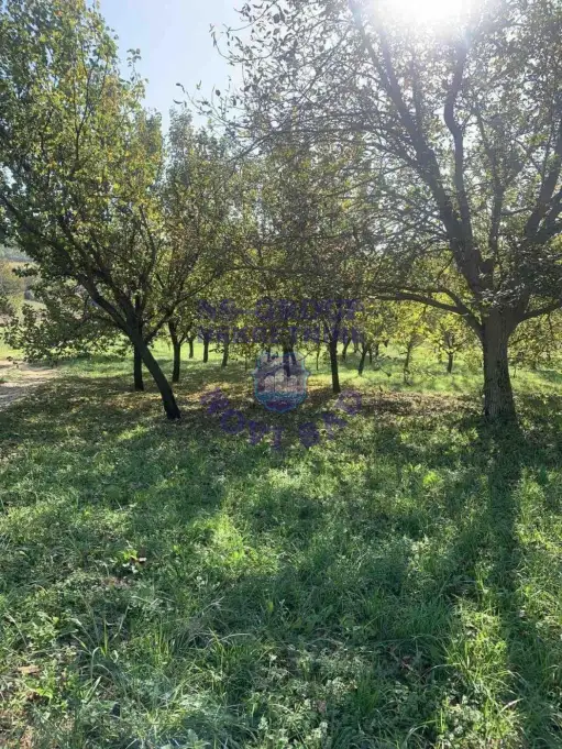plac na prodaju Sremska Kamenica 5226m2 571703