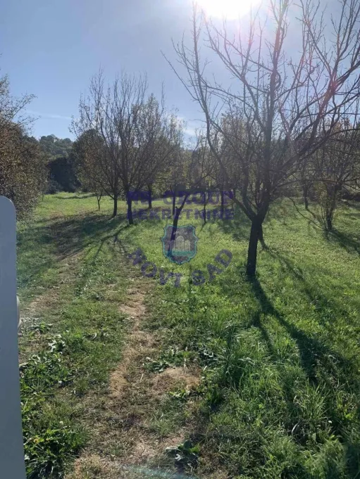 plac na prodaju Sremska Kamenica 5226m2 571703