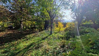plac na prodaju Sremska Kamenica 900m2 571596
