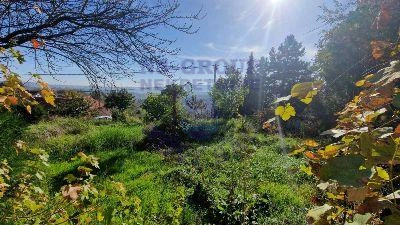 plac na prodaju Sremska Kamenica 900m2 571596
