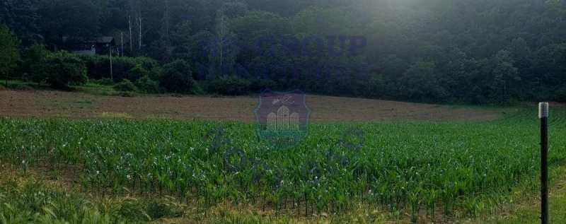 plac na prodaju Beočin, 1131m2 571485