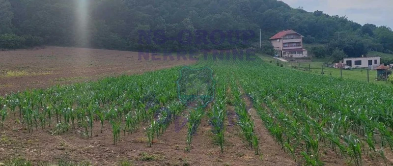 plac na prodaju Beočin, 2365m2 571487