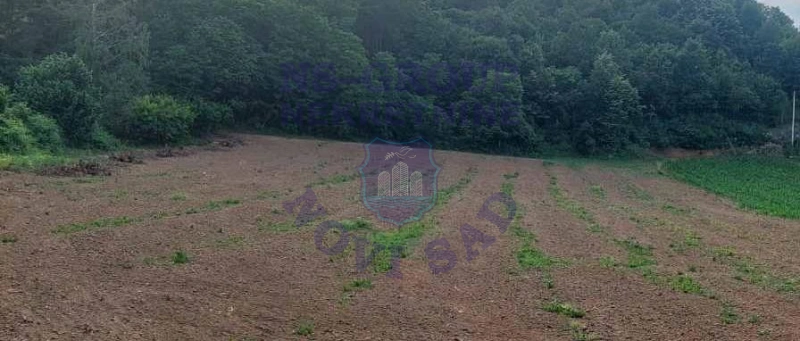 plac na prodaju Beočin, 1146m2 571491