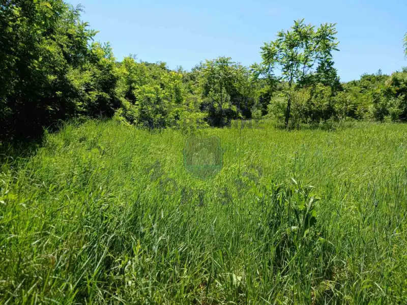 plac na prodaju Ledinci, 5532m2 571263