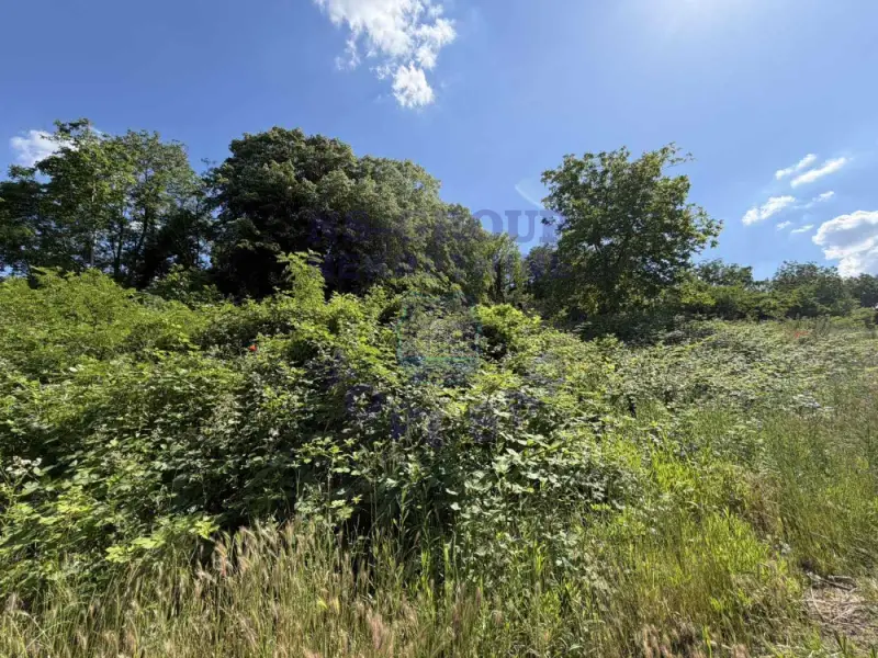 plac na prodaju Sremski Karlovci 6438m2 561319